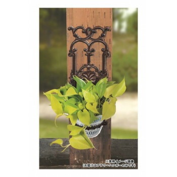 フラワーハンガー 85353