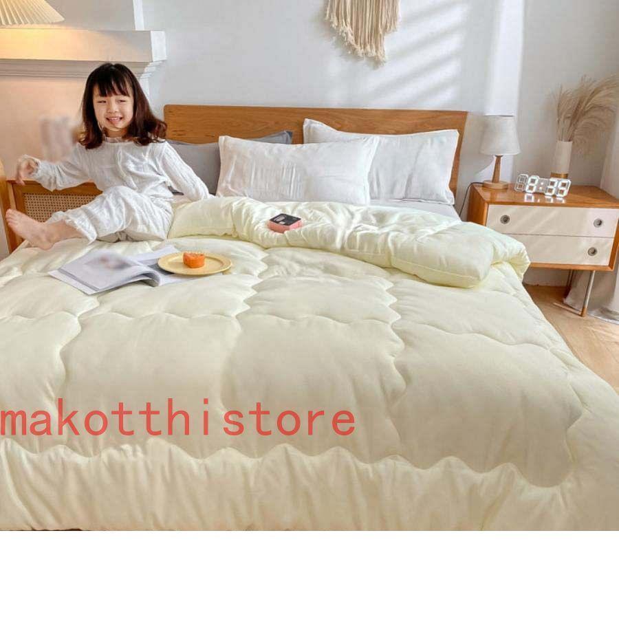 洗える シンサレート 掛け布団 ダブル 蓄熱 200x230cm 毛布 暖か ホコリ出にくい 中綿 掛布団 掛けふとん かけ布団 布団 あたたかい あったかい 丸洗い 洗濯