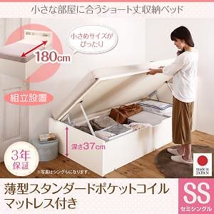 [組立設置料込み]小さな部屋に合う ショート丈 収納ベッド [Odette]オデット [薄型スタンダードポケットコイルマットレス付き] セミシングル 深さラージ