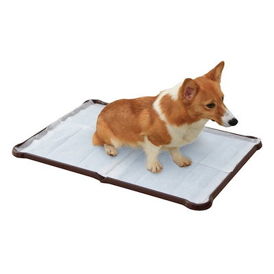 他サイト： P-SPTD シーツぴたっとトレー ダブルワイド ブラウン メーカー直送の商品画像