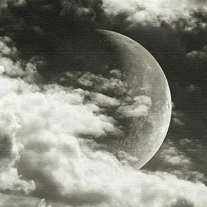 月 写真 PHOTO Lサイズ 57cm57cm アートパネル ファブリックパネル アートボード インテリアパネル 壁掛け 日本製 ラッピング付き lib-pho-0073-l-l