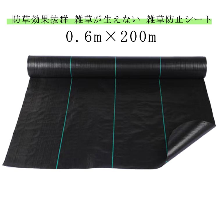 防草シート 幅0.6m×200m 耐久年数 耐久性 雑草防止シート ぼうそうシート 雑草 シート 田んぼ 畑 休耕田 庭 駐車場 ビニールハウス 砂利や人工芝の下敷き 傾斜地 園芸 ガーデニング 防草