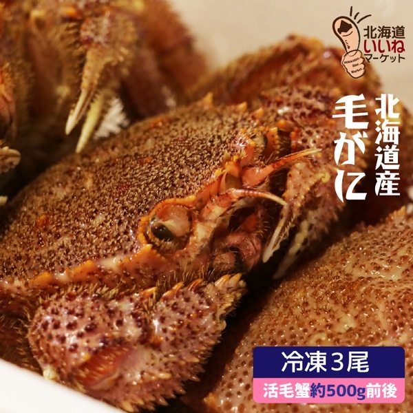 毛ガニ 北海道産 急速冷凍 500g前後3尾 けがに 毛がに 毛蟹 取り寄せ 北海道 かに カニ 毛ガニ ギフト 北海道グルメ お取り寄せ 贈り物 お取り寄せグルメ 贈答品 お取り寄せギフト 酒の肴