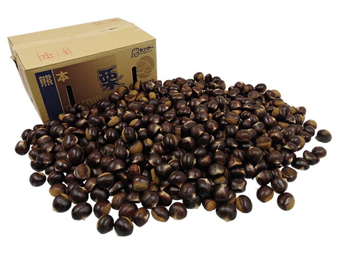 =利平栗= 秀品 L 約10kg 熊本産/愛媛産など 予約 9月下旬以降