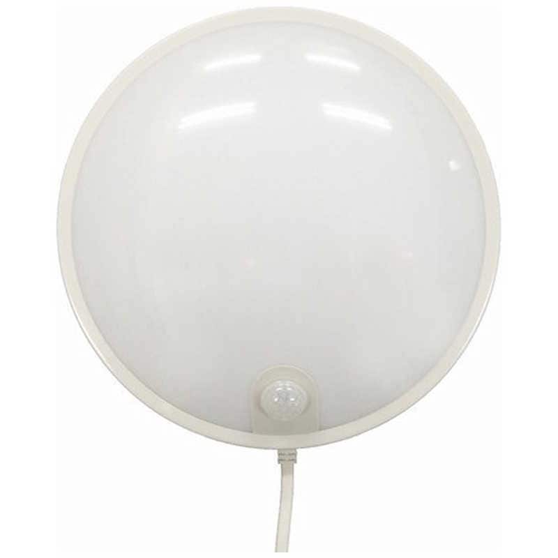 リーベックス　壁掛けセンサーライト　SWL800