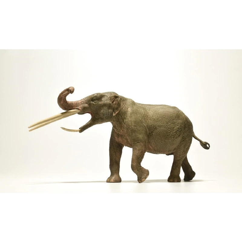 Eofauna 1/35 サイズ KONOBELODON コノベロドン 象 ゾウ マンモス 絶滅 動物 リアル フィギュア PVC プラモデル キッズ 大人のおもちゃ 模型 23cm級 オリジナル 塗