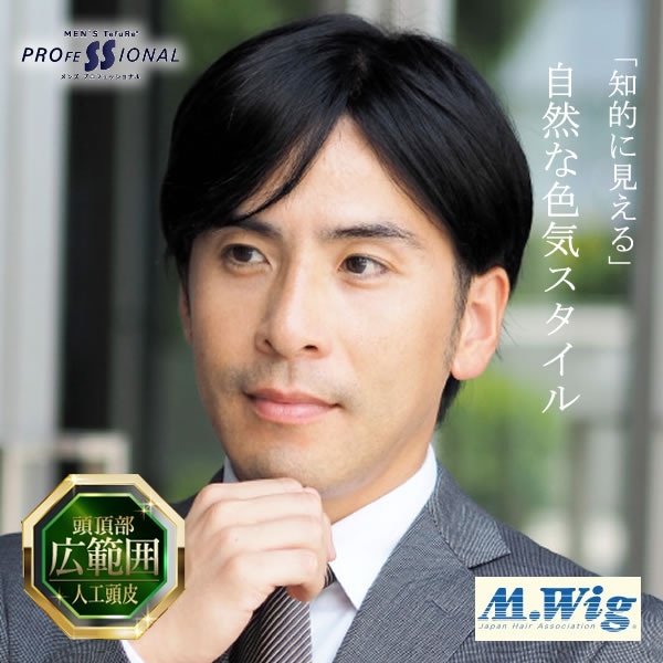 TefuRe 男性用ウィッグ スタイリッシュショート [DS-PTMEN-003] (全国一律送料無料) ウィッグ フルウィッグ ウイッグ かつら 白髪隠し ボリュームアップ 薄毛対策 つけ毛 男性用