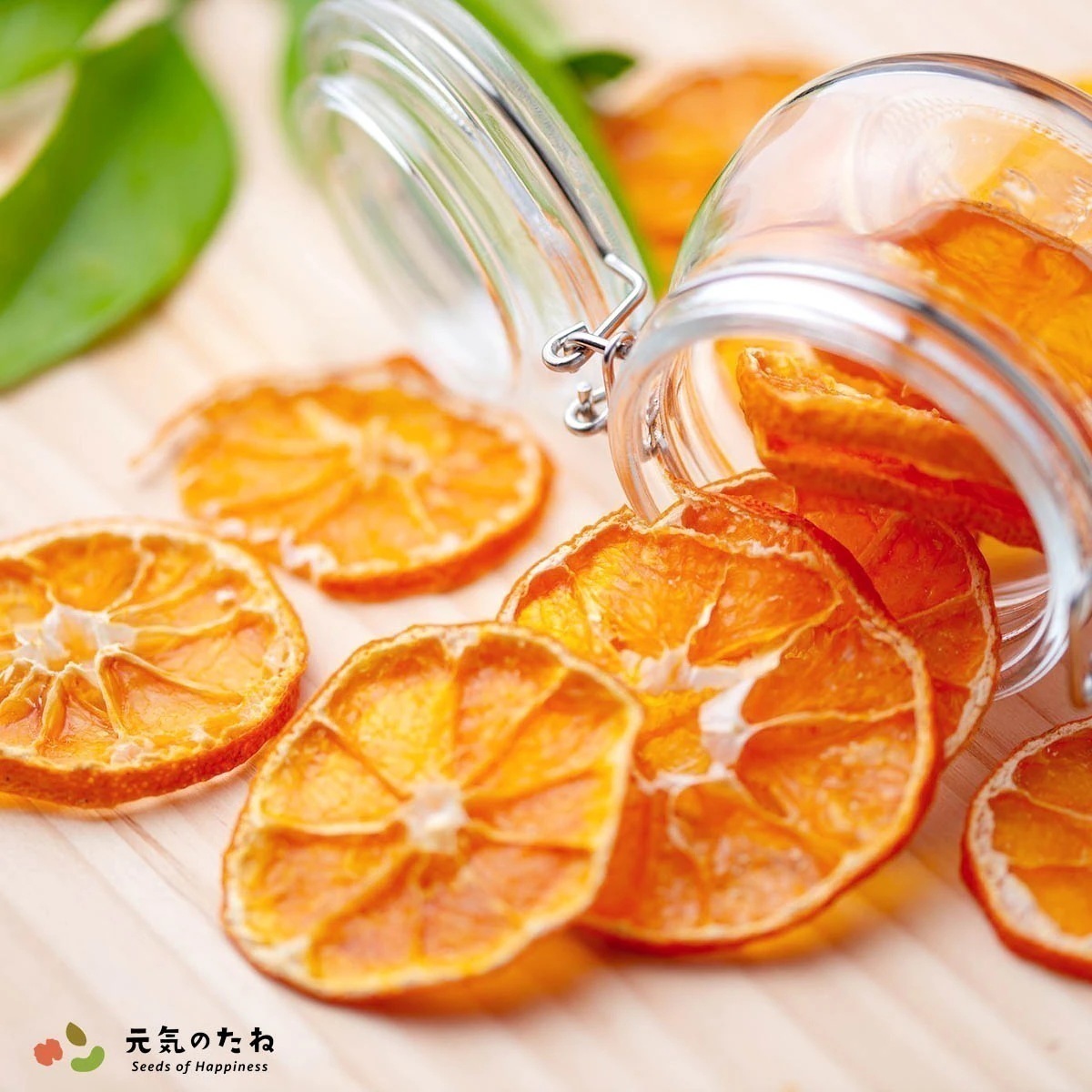 ドライフルーツ 国産 無添加 砂糖不使用 みかん オレンジ 500g ノンオイル 果物 フルーツ 乾燥果実 健康 美容 お菓子 ギフト 7,832円