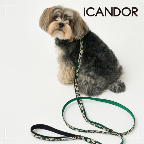 ペット セット Gentle Collar XS (15 mm) + Leash_Big Fish Black ペット用品 犬用グッズ