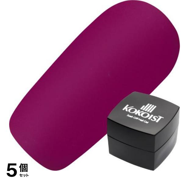 KOKOIST(ココイスト) エクセルライン ソークオフカラージェル E-163 ボルドーグレープ 2.5g 5個セット