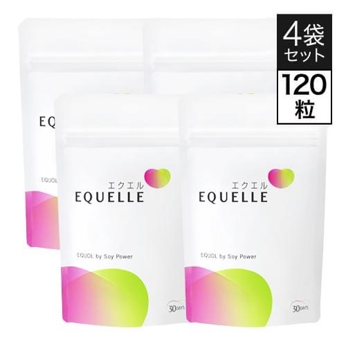 エクエル パウチ 120粒 4袋 大塚製薬
