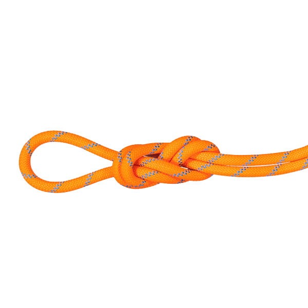 MAMMUT マムート 8.7 アルパインセンダードライロープ 30m クライミング 201006560-2285