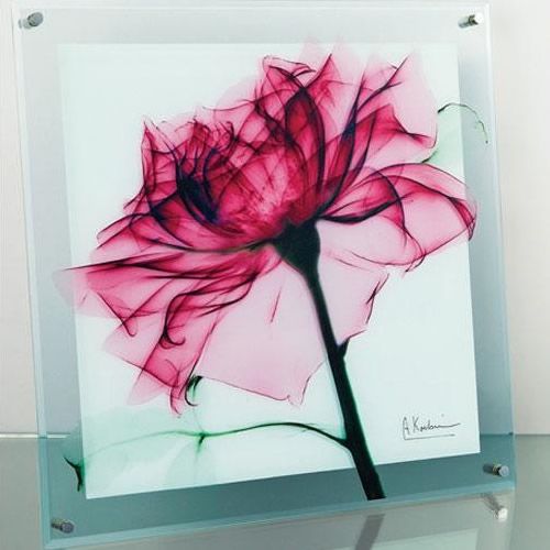 X RAY ガラス アート ティール ローズ Mサイズ XR-05001