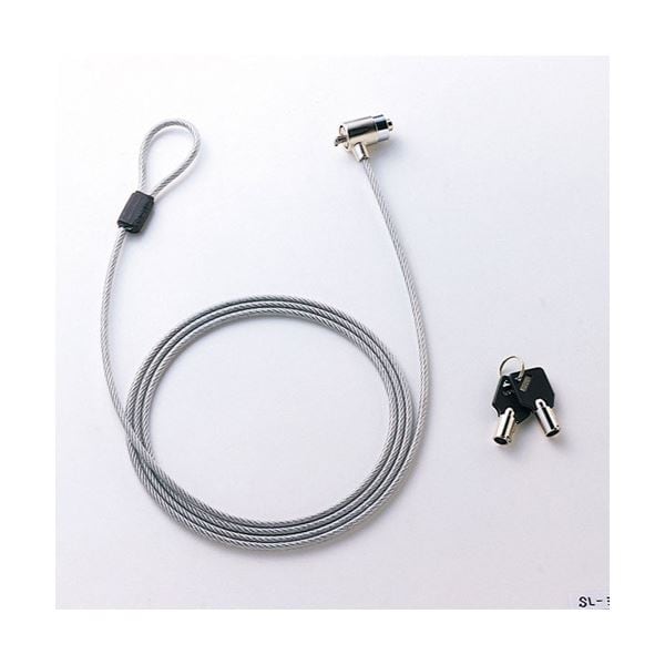 (まとめ)サンワサプライ ノートパソコンセキュリティ SL-31S(×2セット)