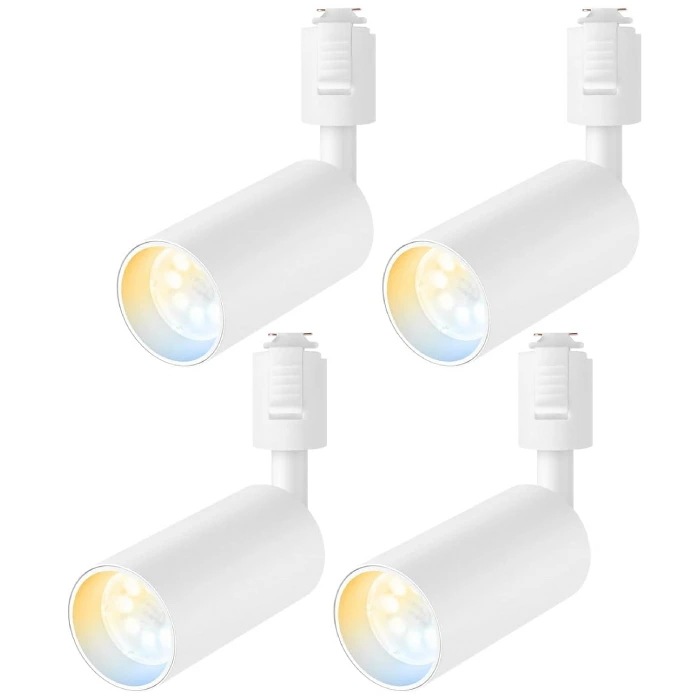 スポットライト 4灯セット ダクトレール用 60W相当 調光調色 リモコン付き LED搭載 省エネ 照明器具 天井 おしゃれ 6W GU10電球付き ライティングレール 昼光色 昼白色 電球色 大光量