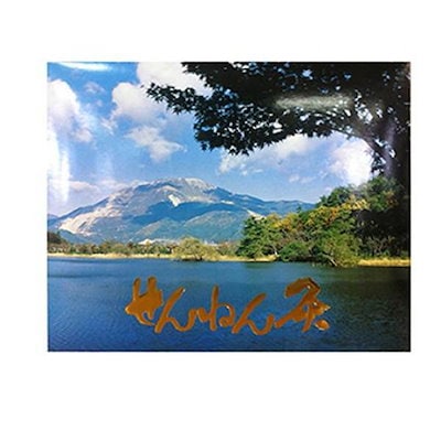 Fate セイバー カウントダウン 色紙 ufotable FGO アルトリア 【公式通販】