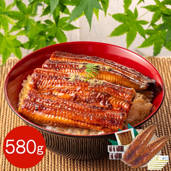 超特大 鹿児島県産うなぎ蒲焼とカットうなぎのセット 580g （長焼き 250g 2尾・カットうなぎ 80g×1パック) / 国産 鰻 ウナギ 冷凍
