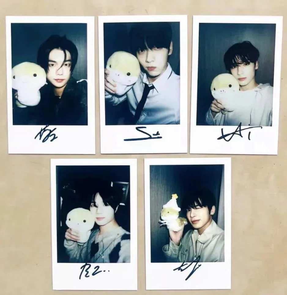 公式 TOMORROW X TOGETHER TXT 中華 countingstars 北京2.0 限定　ポラロイド　全員５枚セット