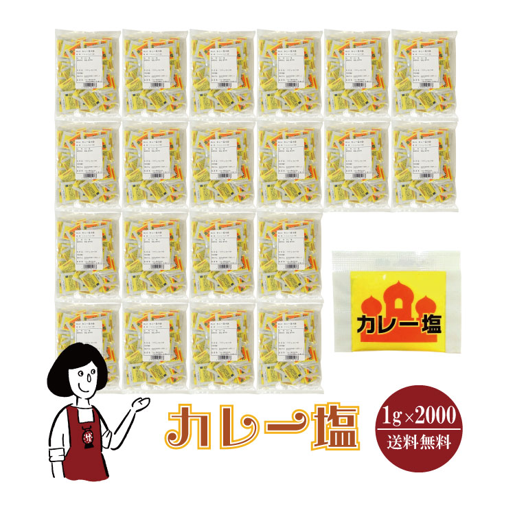 マルニ カレー塩　1gｘ2000袋