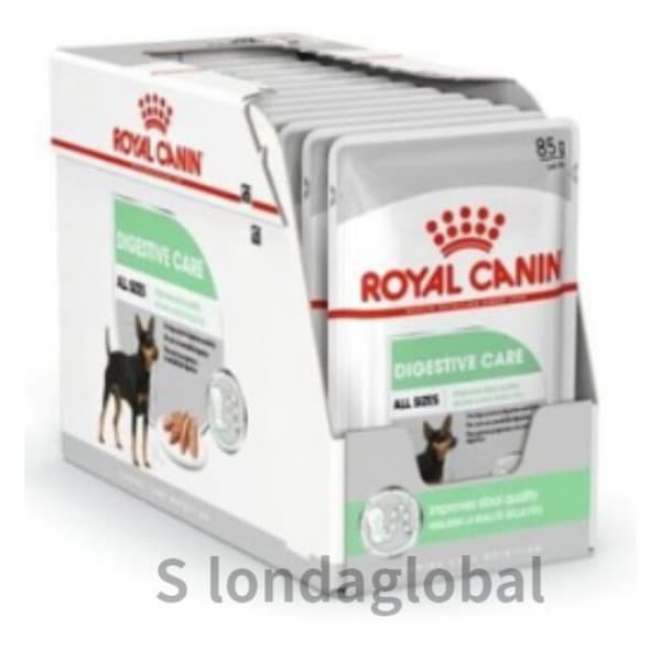 ロイヤルカナン 犬 湿式飼料 ダイジェスティックケア 12pX1個