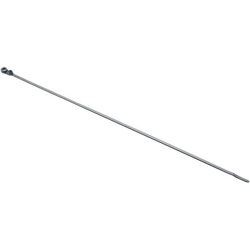 パンドウイット　パンドウイットネジ止めタイプステンレス爪ロック式結束バンド黒(500本入) 　BC4SS10D0