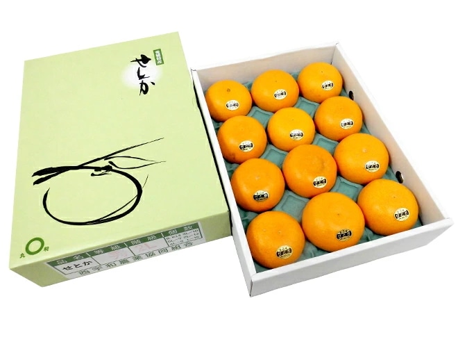 愛媛産 =せとか= 大玉Lサイズ以上 約3kg 化粧箱 予約 1月末以降