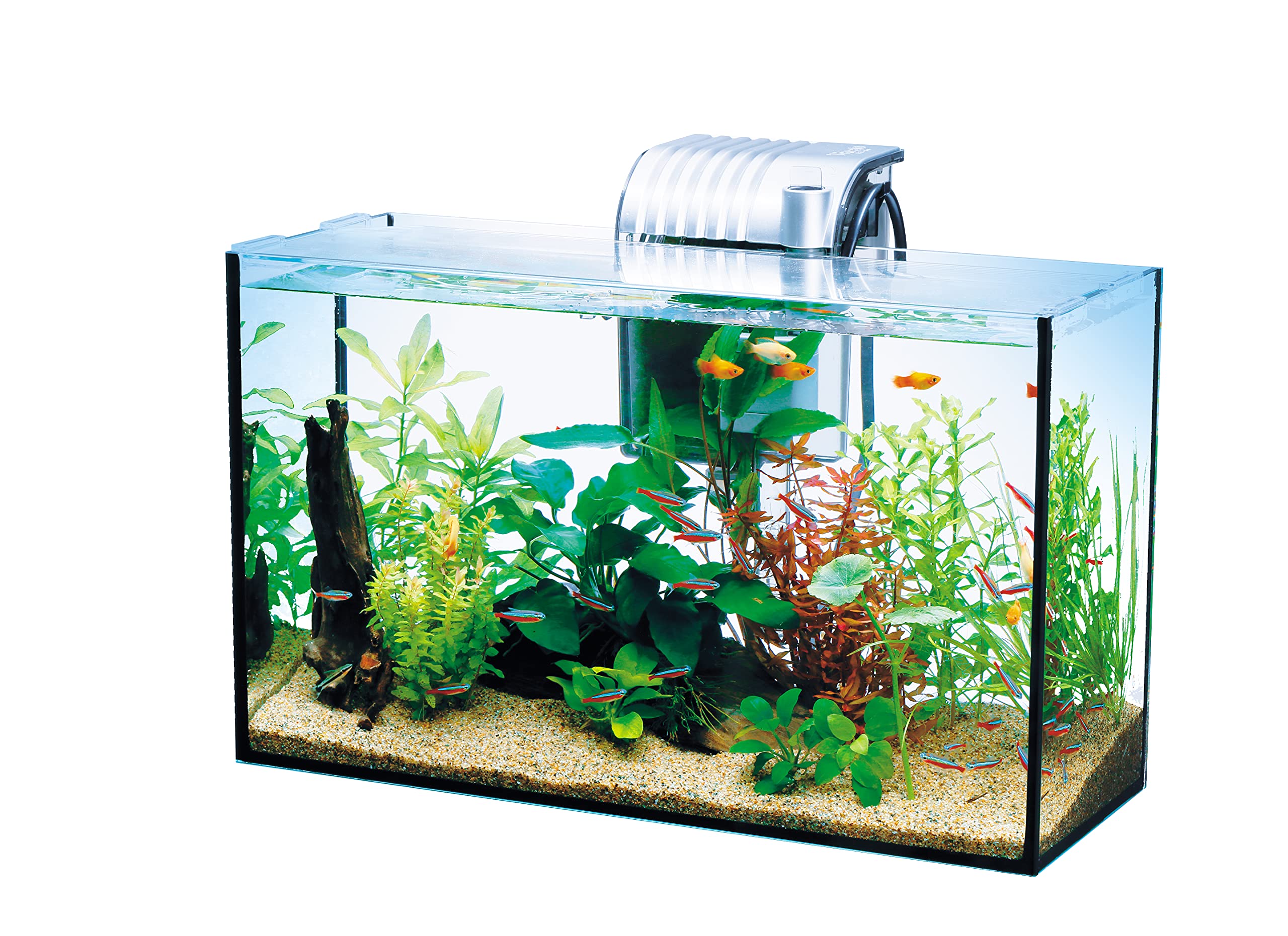 テトラ (Tetra) ガラス 水槽 オールグラスアクアリウム GA-420F 水槽 熱帯魚 メダカ 金魚水槽セット