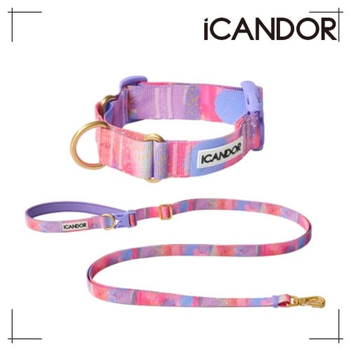 ペット セット Martin Gale Collar Buckle + Leash_Milky Way ペット用品 犬用グッズ