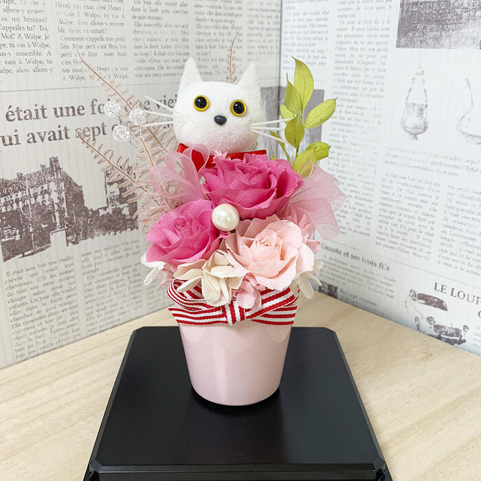 Qoo10] プリザーブドフラワー 白猫 アレンジメン