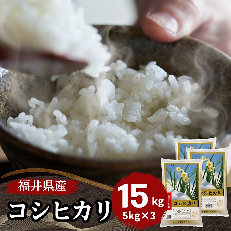 【数量限定】福井県産コシヒカリ15kg(5kg3袋) 白米　令和7年産