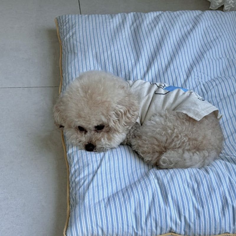 パマパミ ストライプ ペットクッション 犬 猫 ベッド マット 丸洗いOK 毛が絡みにくい 高密度 大型犬対応 50×70cm / 70×90cm