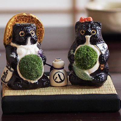 盆栽 パパとママの夫婦たぬきの苔盆栽 ２体セット【陶器 置物 コケ グリーン 盆栽 テラリウム インテリア 苔玉 こけだま こけ盆栽 コケ盆栽 父の日 敬老の日】