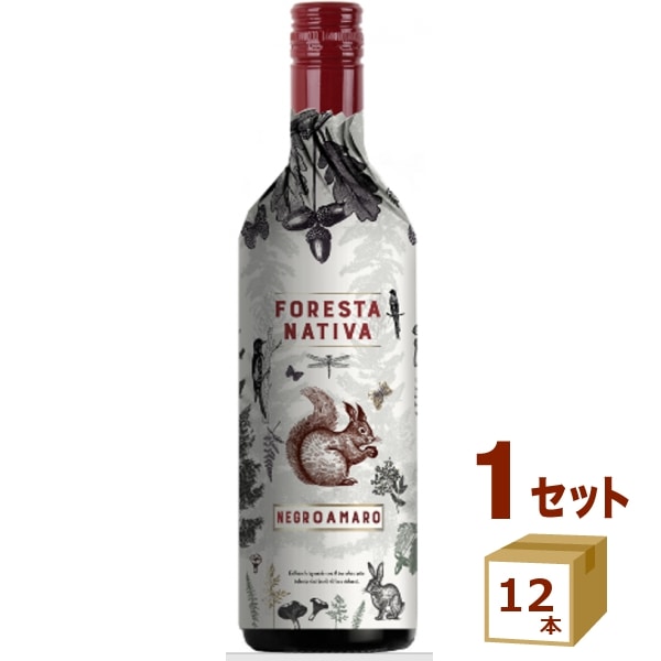 フォレスタ ナティヴァ ネグロアマーロ 赤ワイン イタリア プーリア州 750ml 12本 ワイン【送料無料一部地域は除く】【取り寄せ品　メーカー在庫次第となります】