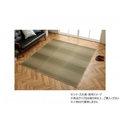 い草ラグ カーペット NSナセル 180×240cm GN 1061950124104