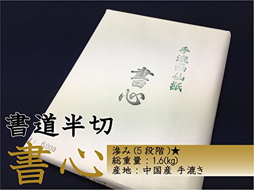 天義堂 書道用紙 半切 清書 「滲まず書きやすい」 100枚入り 学童 習字 初心者 【書心】 手漉き