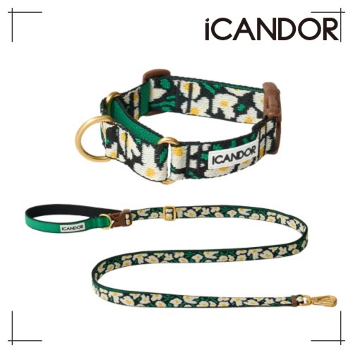 ペット セット Martin Gale Collar Buckle + Leash_Big Fish ペット用品 犬用グッズ