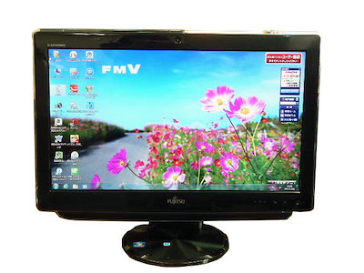 専用カヲリン様 [真作] 墨彩直筆画/作家、小林菊枝/題名「朱夏