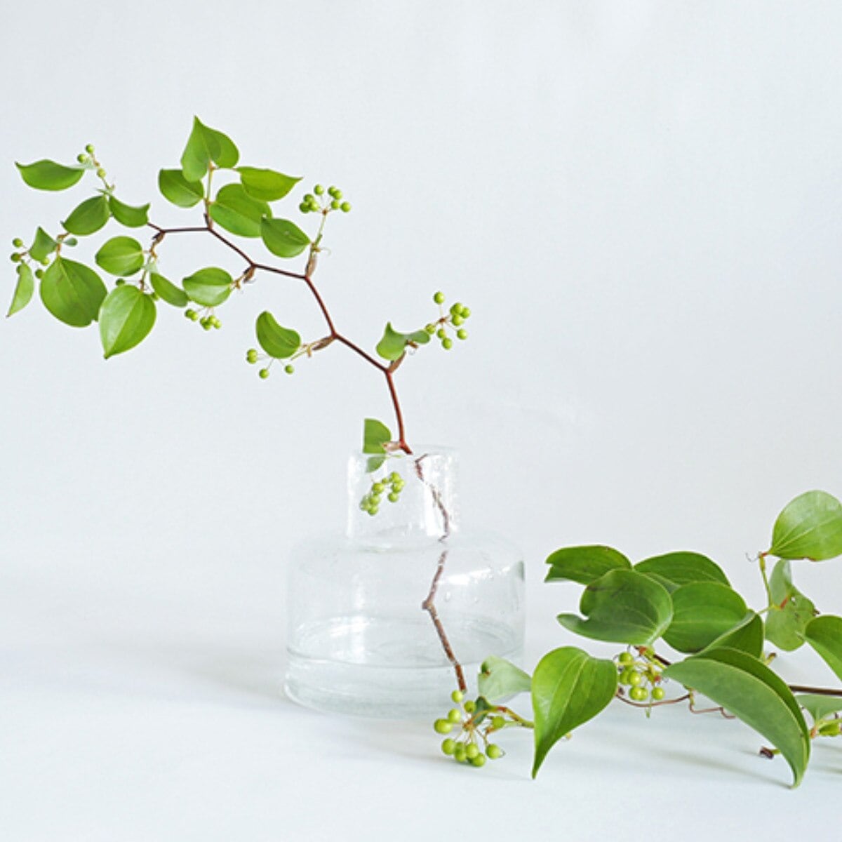 花瓶 DGボトルベース 直径15x高さ15cm クリアー ガラス おしゃれ 花器 花びん 一輪挿し フラワーベース 円形 透明 丸 インテリア 生け花 植物 お花 ガラス製 ドライフラワー