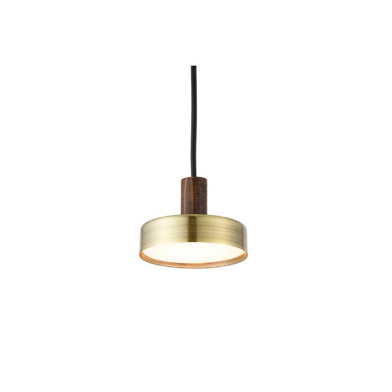 スワン電器　LED1灯ペンダントライト Rumani ゴールド ダクトレール専用　APE-055GL 10,582円