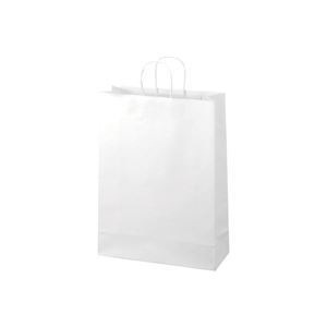 （業務用2セット）ジョインテックス 手提袋 丸紐 白 特大 50枚 B290J-W