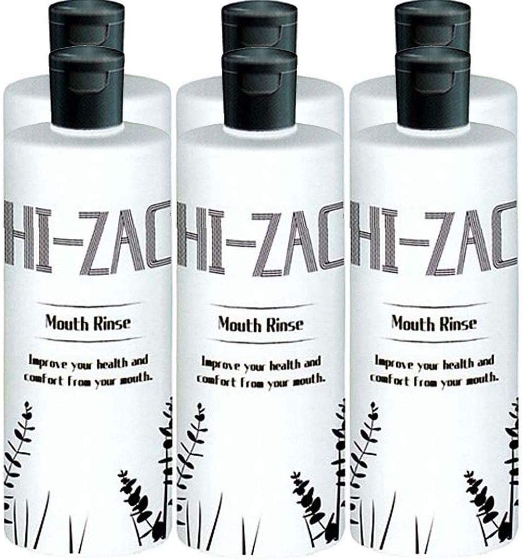 6個セット ビーブランド ハイザックRリンス 300ｇ