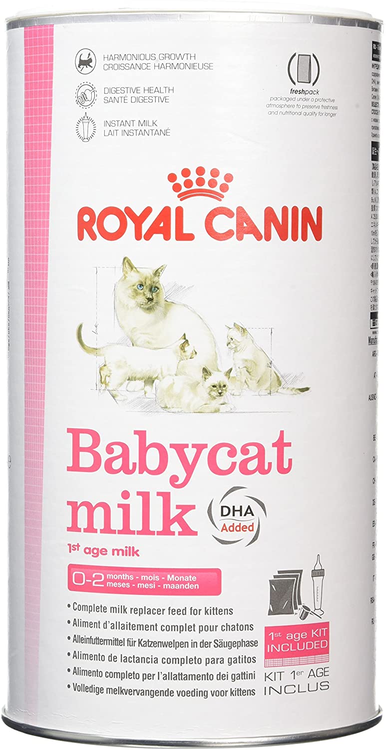 royal canin cat milk powder