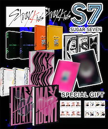 (SPECIAL GIFT 100個限定) MAXIDENT LIMITED ver / STRAY KIDS ALBUM / GO生 / INLIFE / NO EASY