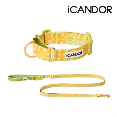 ペット セット Martin Gale Collar Buckle + Leash_Big Fish Yellow ペット用品 犬用グッズ