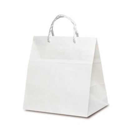 PP紐手提袋 T-ワイド 白無地(PP紐) 1738 50枚