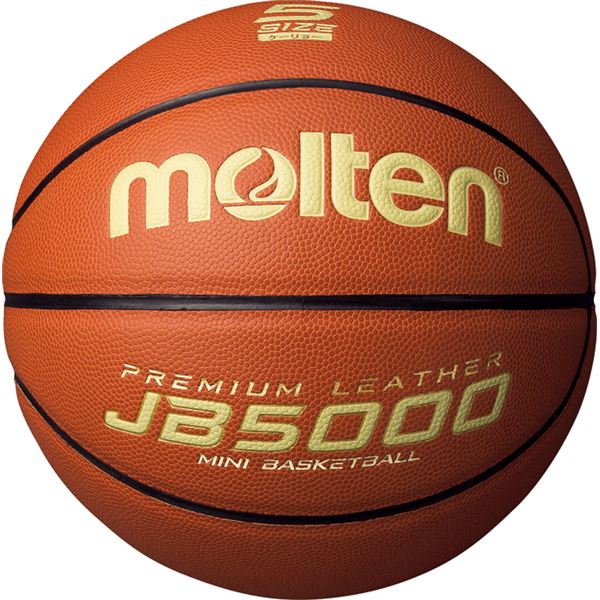 (モルテン Molten) ミニバス バスケットボール (5号球 軽量) 人工皮革 JB5000 B5C5000L (運動 スポーツ用品)