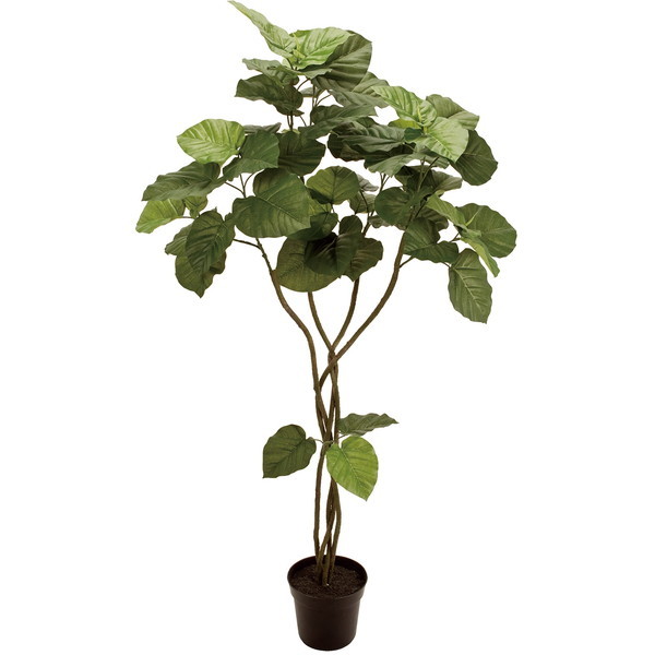FG005226 造花 ウンベラータ ツイスト 5FGREEN メーカー直送