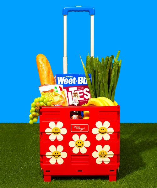 韓国スタイルフォールディングカート かわいいカート - Smile We Love - PWIKR450447