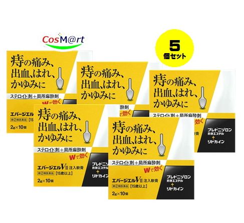 【定形外郵便にて発送】 【5個セット】 【指定第2類医薬品】エバージエルVII注入軟膏 2g10個 4987307240871-5