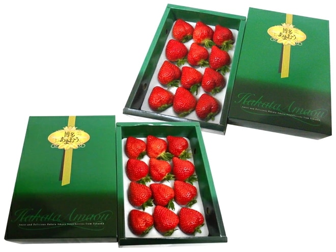 福岡産いちご =博多あまおう= 最高等級EX ギフト専用化粧箱 2箱 予約 1月以降 産地直送